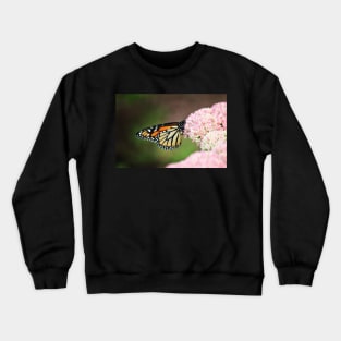 Monarch on Sedum Crewneck Sweatshirt